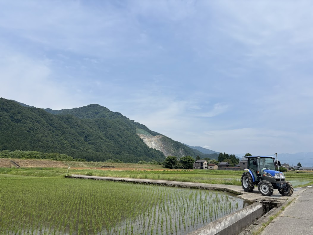 北島蔵の田んぼ