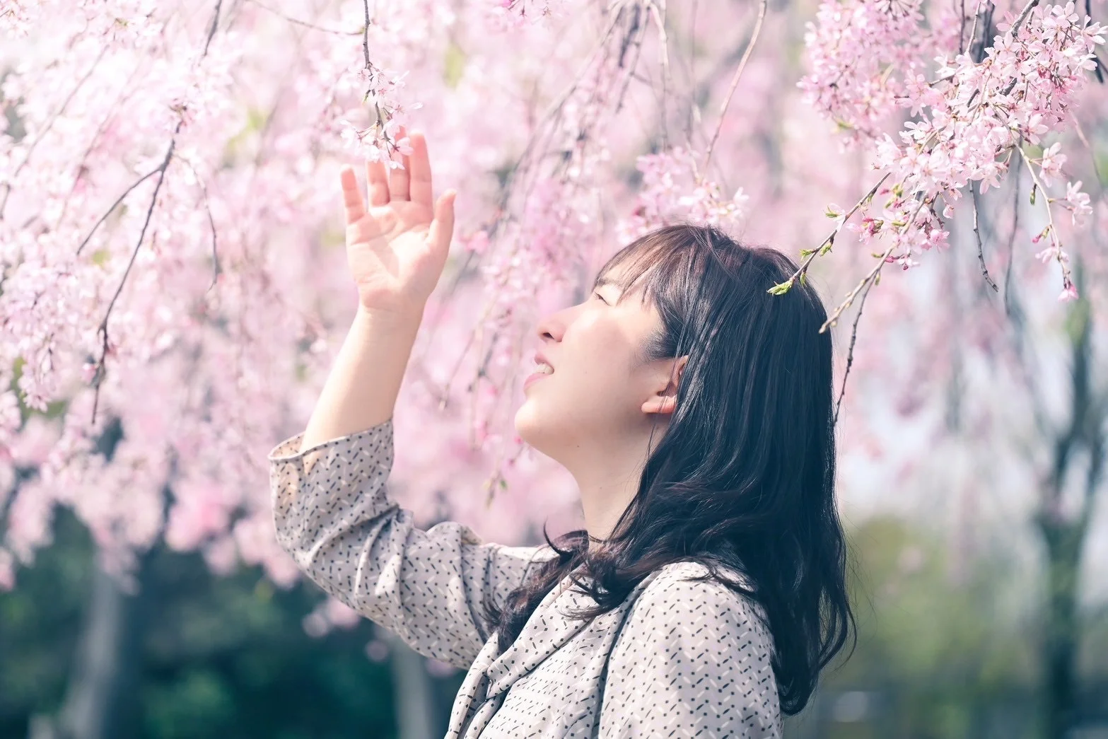 佐野 明恵